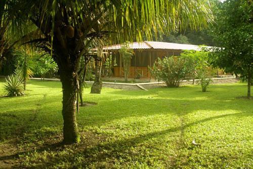 Turtle Beach Lodge Tortuguero Exteriér fotografie